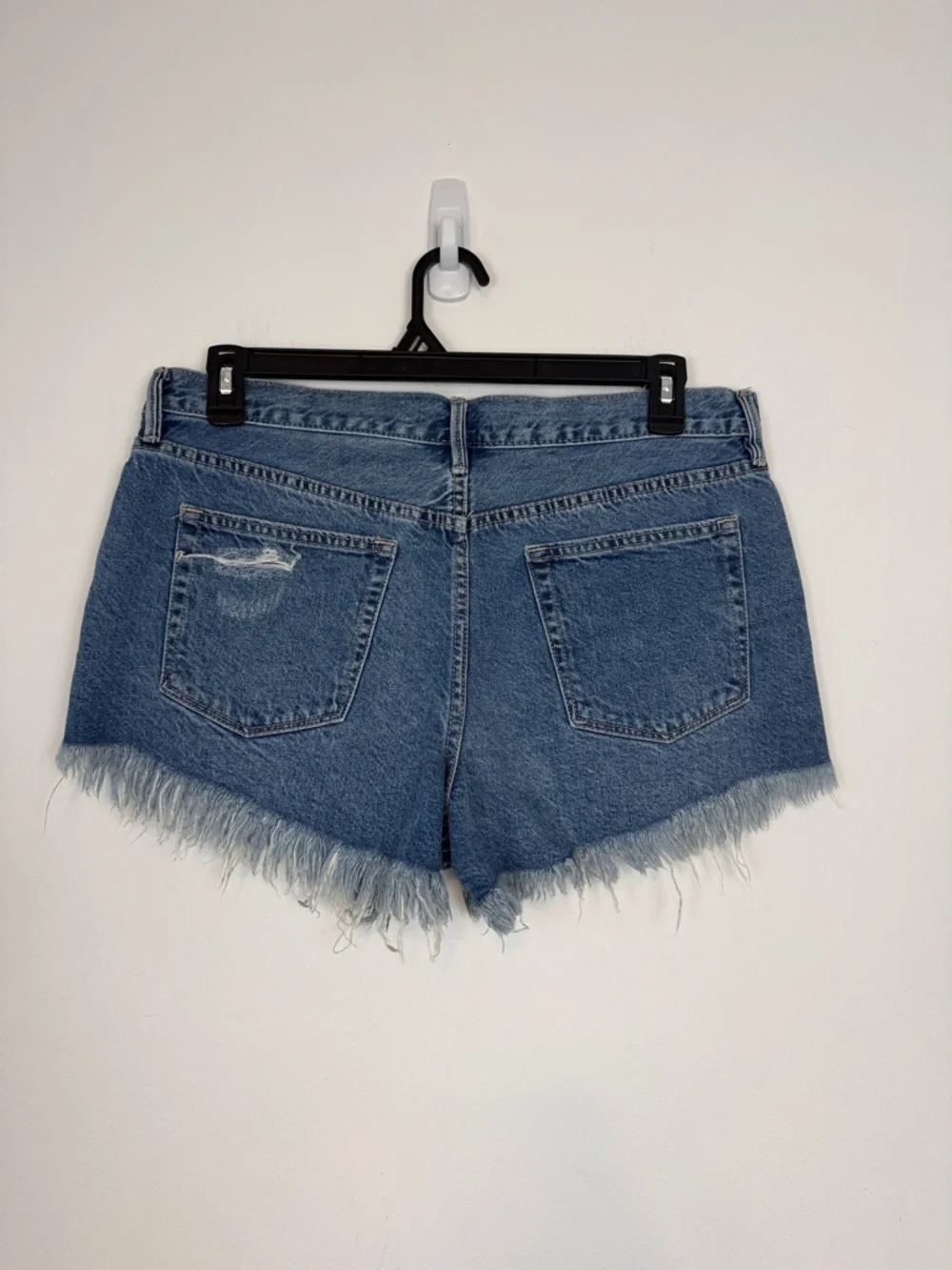 Free People Loving Good Vibrations High-Rise Distressed Shorts. Size 31. NWT.